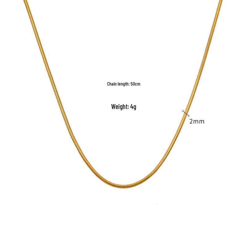 Geometric Gold-Plated Titanium Snake Bone Chain Necklace: Minimalist & Versatile