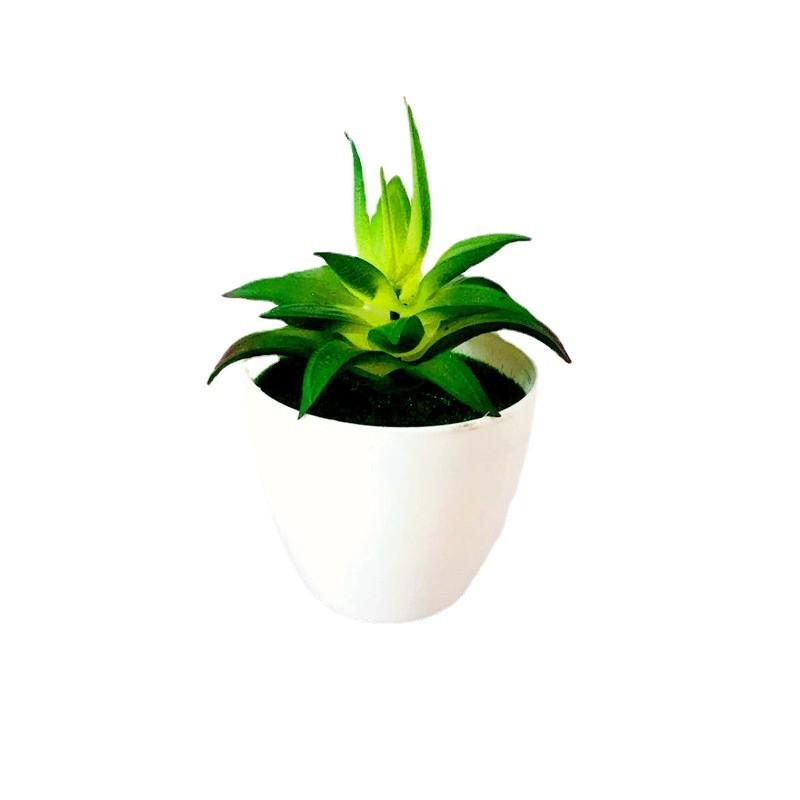 Succulent Faux Pvc Plant With Creative Design For Living Room And Projects Diy