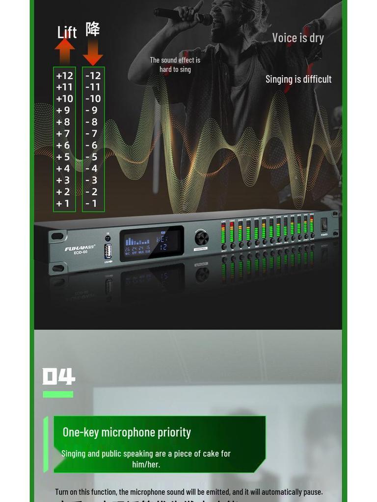 Professional Karaoke Stage & Home Audio Processor with Preamp, Anti-Howl, Equalizer, and Reverb Effects