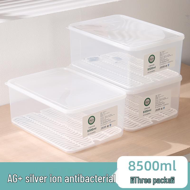 Large Capacity Fresh-Keeping Storage Box for Steamed Buns and Dumplings