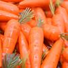 Christmas Berry Wedding Fruit Party Supplies Carrots Artificial Vegetables Kitchen Decoration