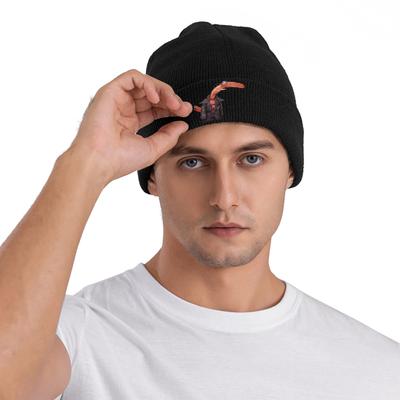 Bonnet Smiling Friends Bonnet pour Hommes Femmes Unisexe Mignon Outdoor Skullies Bonnets Hivernal Wrap pour la Tête Graphique Casquettes