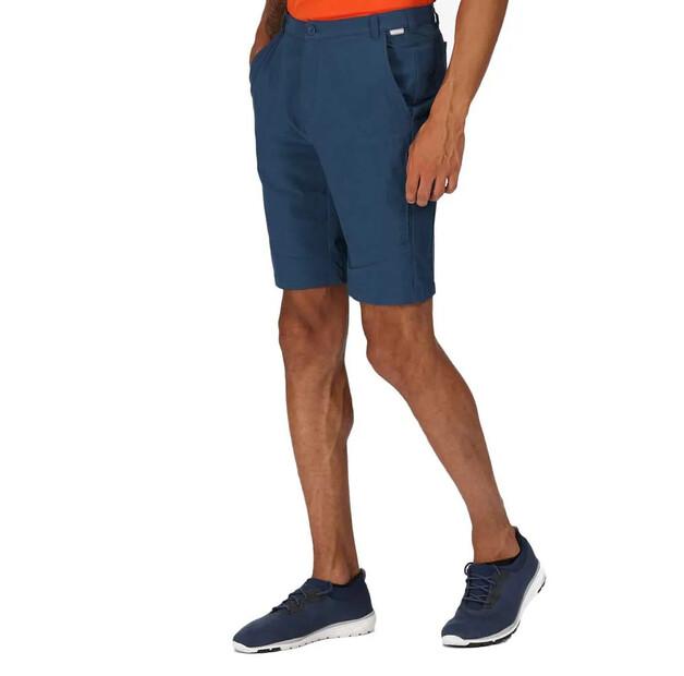 Regatta Highton Long Shorts