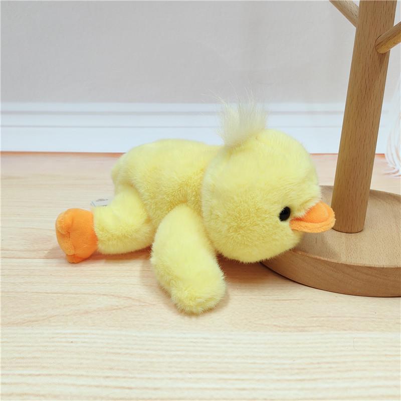 Xiangxiang Cute Animal Doll: Panda & Raccoon Plush Toy, Pocket-Size Companion Gift.