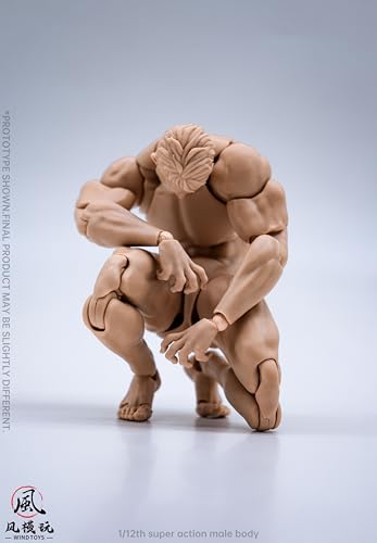 WIND TOYS 1/12 Scale PVC & POM Super Articulated Figure, Male Body, Normal
