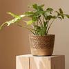Coș din Paie Împletite pentru Plante cu Flori, Jardineră din Iarbă, Ghiveci de Grădină Interior Exterior, Container pentru Bonsai Plantabil, Decorațiune