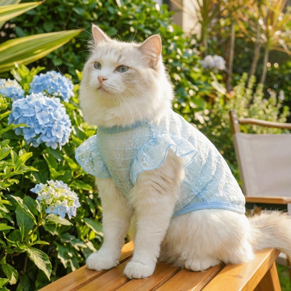 Breathable Dog Cooling Vest Thin Mesh Dog Summer Clothes Sweet Pet T-shirt  Spring Season