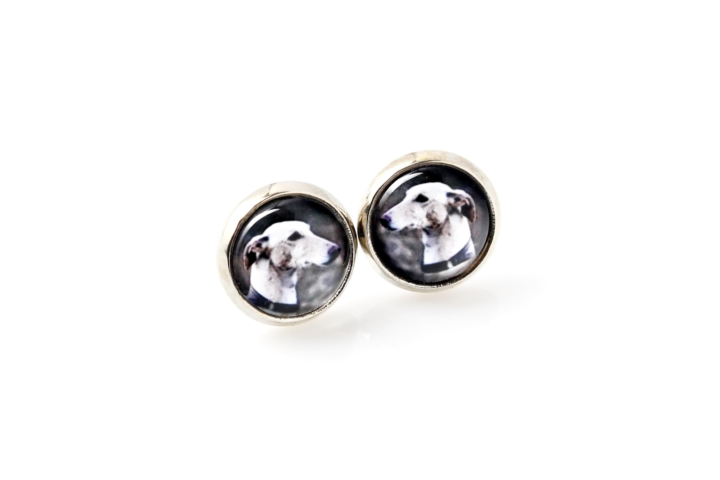 

Greyhound, English Greyhound - earrings your photo handmade, own photo, jewelry from the Art.-Dog brand срібний