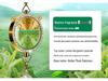 Hanging Car Air Freshener Pendant - Essential Oil Aromatherapy Deodorizer with Long-lasting Light Fragrance for Car Interior Decoration