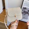 Chic Minimalist Small Sling Bag 2024 New Spring Straw Bag Korean Shoulder Crossbody
