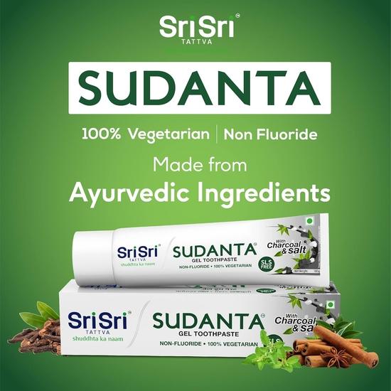 Sudanta Natuurlijke Tandpasta (100 gram), Sudanta Tandpasta, Sri Sri Tattva