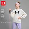 Under Armour Kids' Crewneck Pullover Sweatshirt