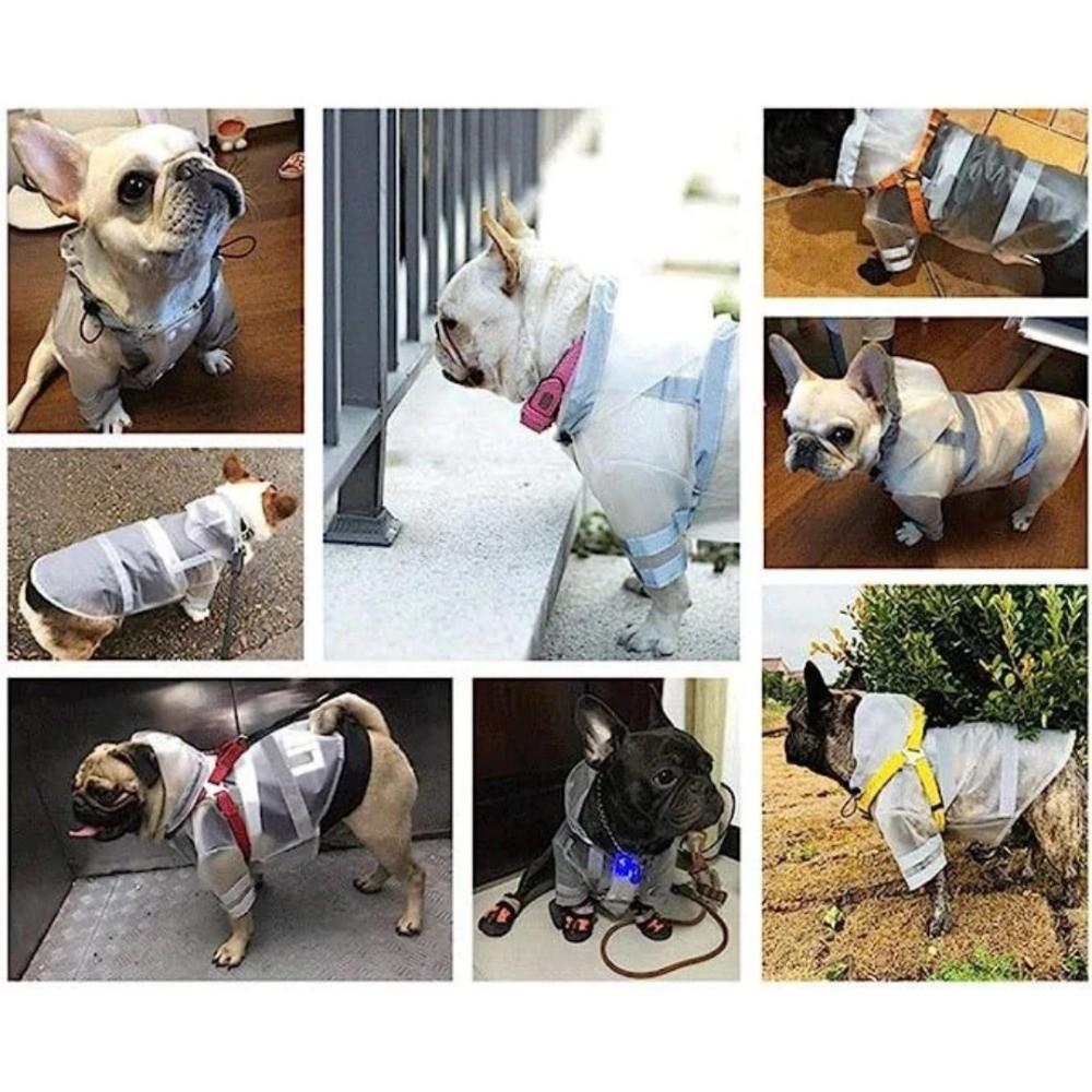 EVA Miljövänligt Material Valp Regnrock Med Huva S-XXL Hund Regnjacka Utomhusaktiviteter