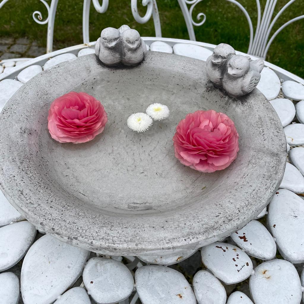 Concrete sculpture water bowl with birds gray figure