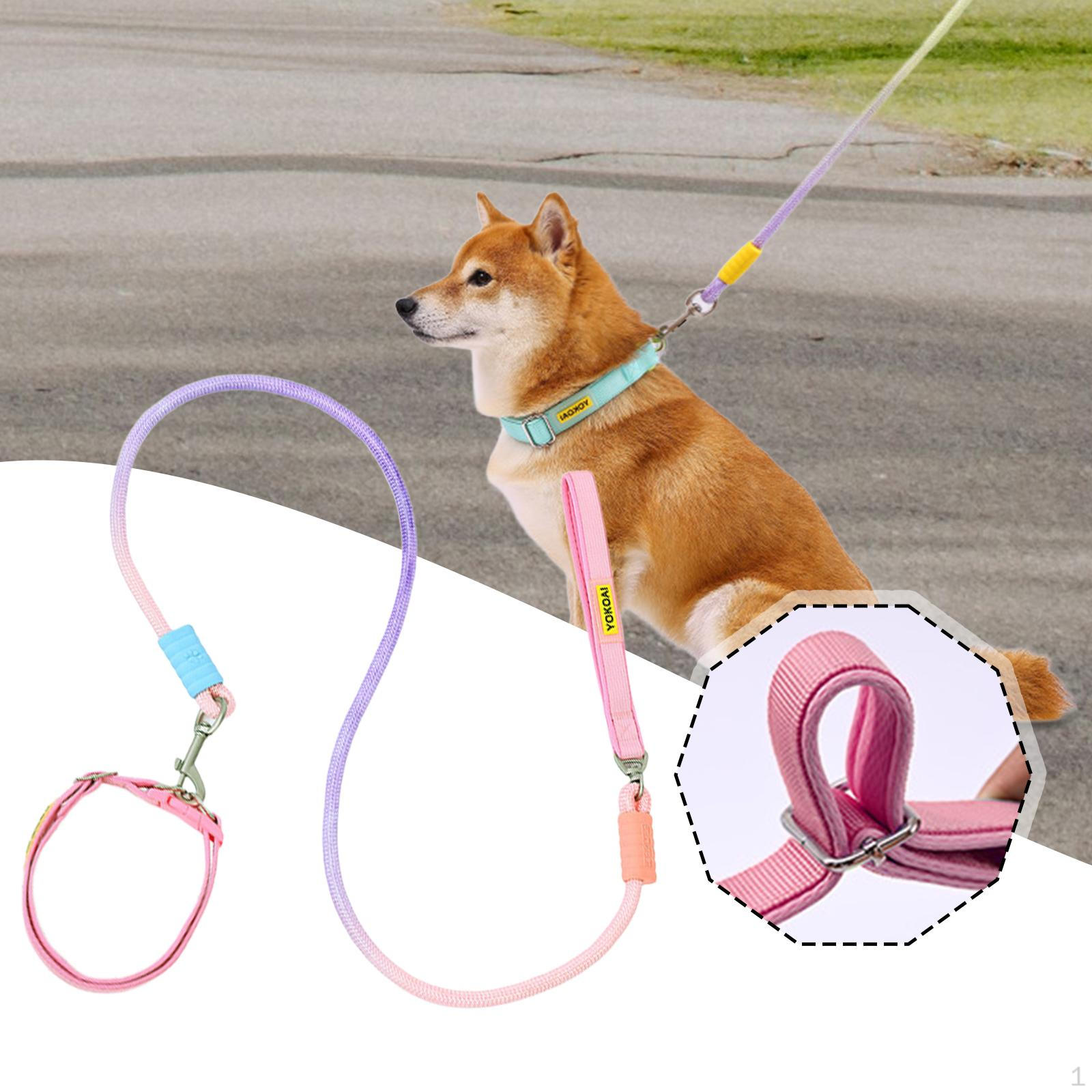 

Dog Leash Training Adjustable Pet Walking Traction Rope for Exercising Hiking розовый