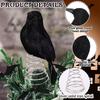 Simulation Black Crow with Flexible Spring Base Halloween Black Crow Props Simulation Fake Bird Ghost Festival Halloween Decor