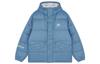 Down Jacket Men's Blue AMJ13334-WAB