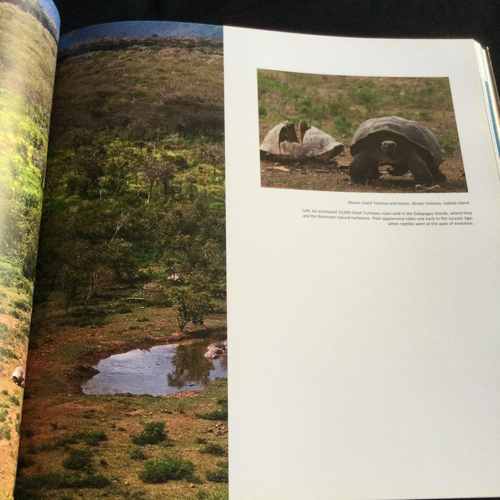 [USED] Galapagos Islands Photo Collection Nature South America Animals Foreign Books English Ecuador Ocean Volcano Book