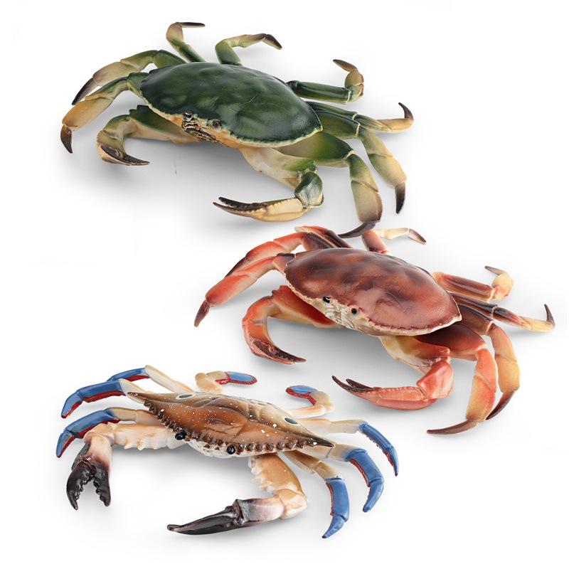 Simulated Marine Animal Crab Model, Children'S Cognition Three-Eye Crab Swimming Crab Bread Crab Ornament Toy