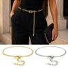 Long Tassel Metal Chain Belts Gold Silver Waistband New Waist Chain