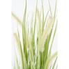 Plante Artificielle - Mica Decorations - Herbe Dogtail - H53 X Ø30 Cm - Vert - Sans Entretien