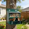 Outside Squirrel Feeder Metal Chipmunk Feeder with Clear Window Outdoor Wall Mounted Peanut Feeder Gift for Wildlife Lovers