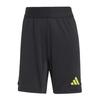 Damen/Damen Tiro 24 Torhütershorts