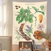 Ayahuasca Botanical Tapestry Wall Hanging Vintage Print Floral Illustration Flower Reference Chart Wall Cloth Art INS Home Decor