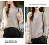 Brushed Series Heavyweight Cashmere Seamless Knitted Sweater Pullover for Women