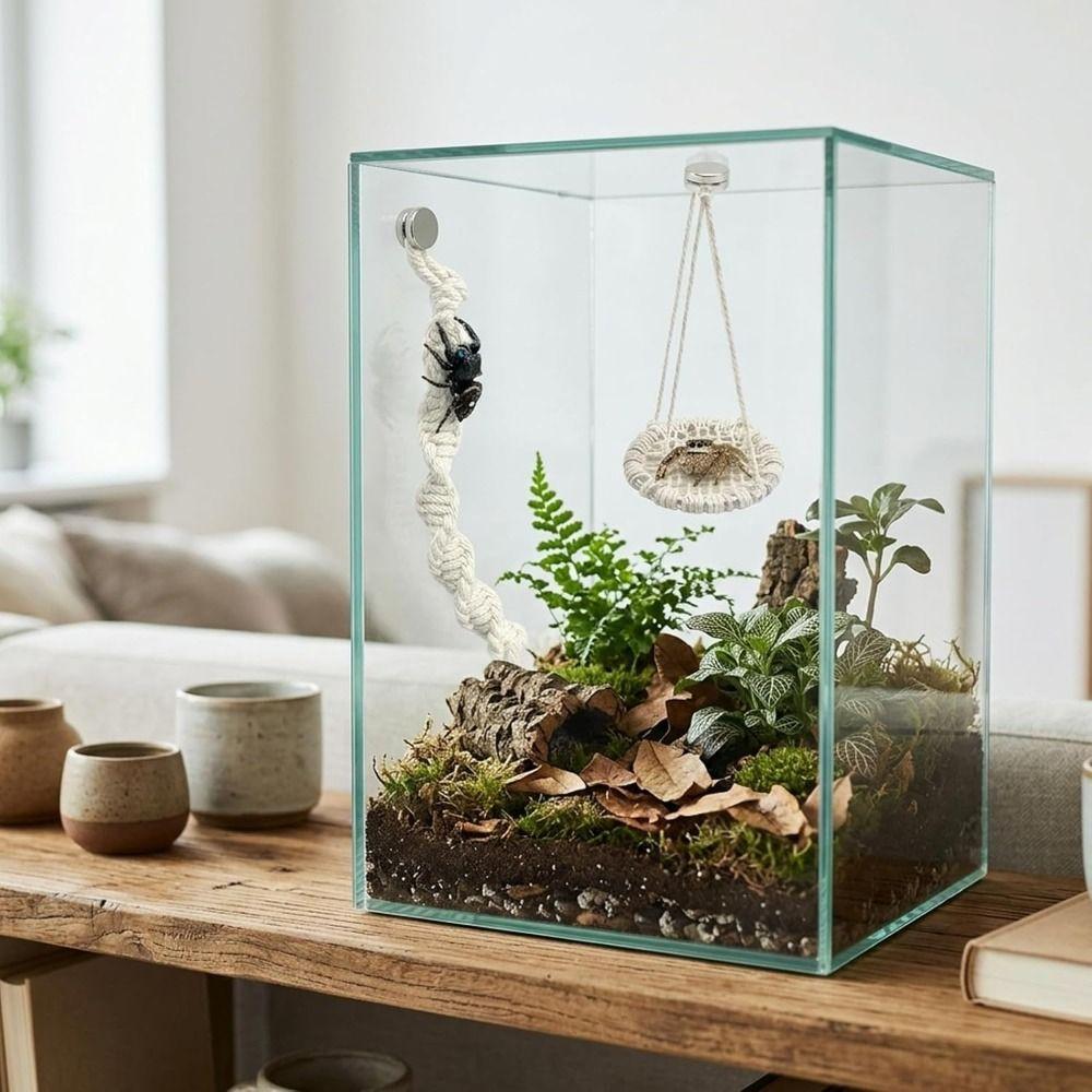 Handmade Jumping Spider Enclosure Hangable Hermit Crab Climbing Enclosure Pet Supplies