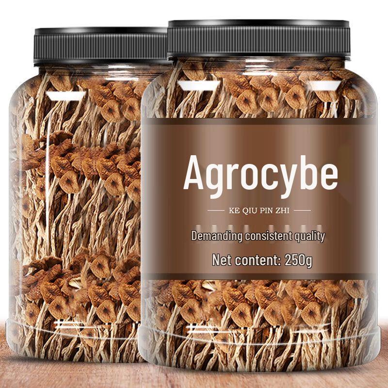 Premium Farmhouse Dried Tea Tree Mushrooms