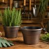 Drainage Pots for Succulents Retro Flower Pot with Saucer, Bronze Finish Plant Holes, Planters Flowers Breathable Thickened Plastic Planter