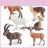 Realistic Plastic Forest Animal Models Including Goat Alpaca Deer Ostrich Foal Collectible Figurines