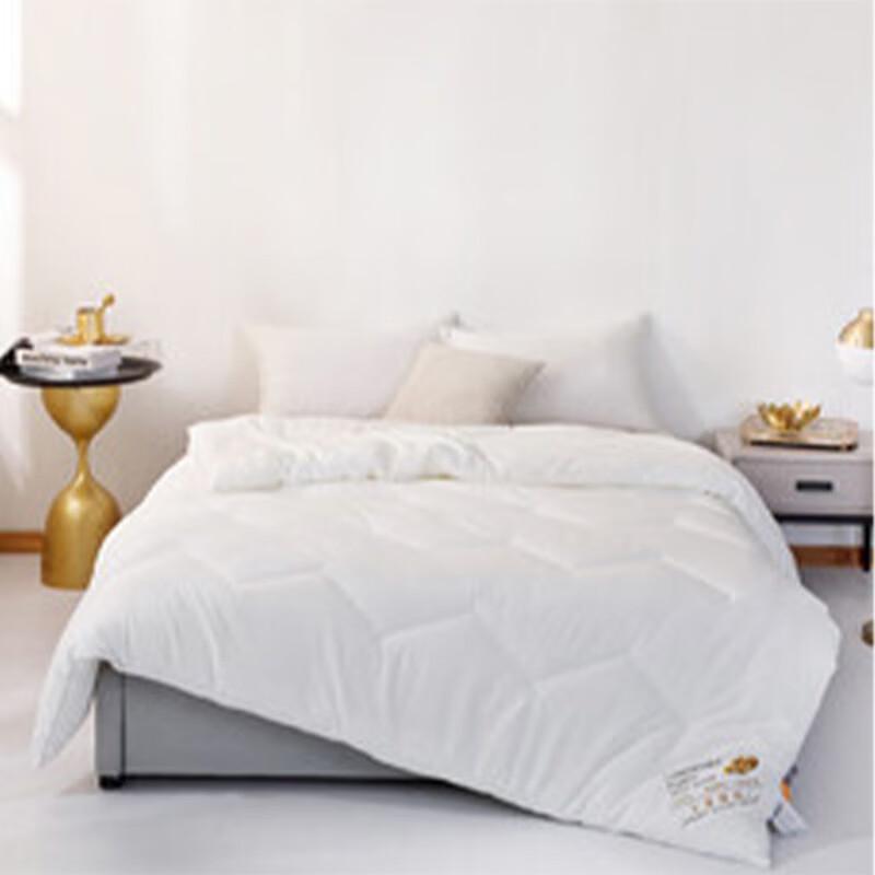 JOES HOME All-Season Warm Fleece Quilt