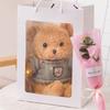 Cute Bear Plush Toy Gift Set