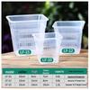 Transparent Square Resin Root Control Pot for Orchids (Aoyama J51)