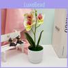 Faux Flowers Three Butterfly Orchid Green Plant For Home Decoration Office
