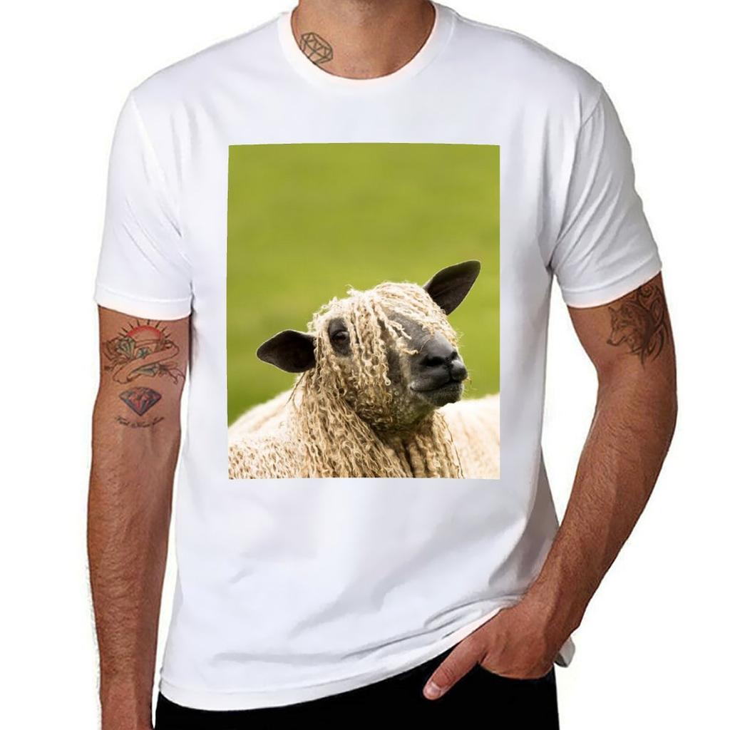 Wensleydale Sheep Tshirt Standard Fit Solid Tee Shirt