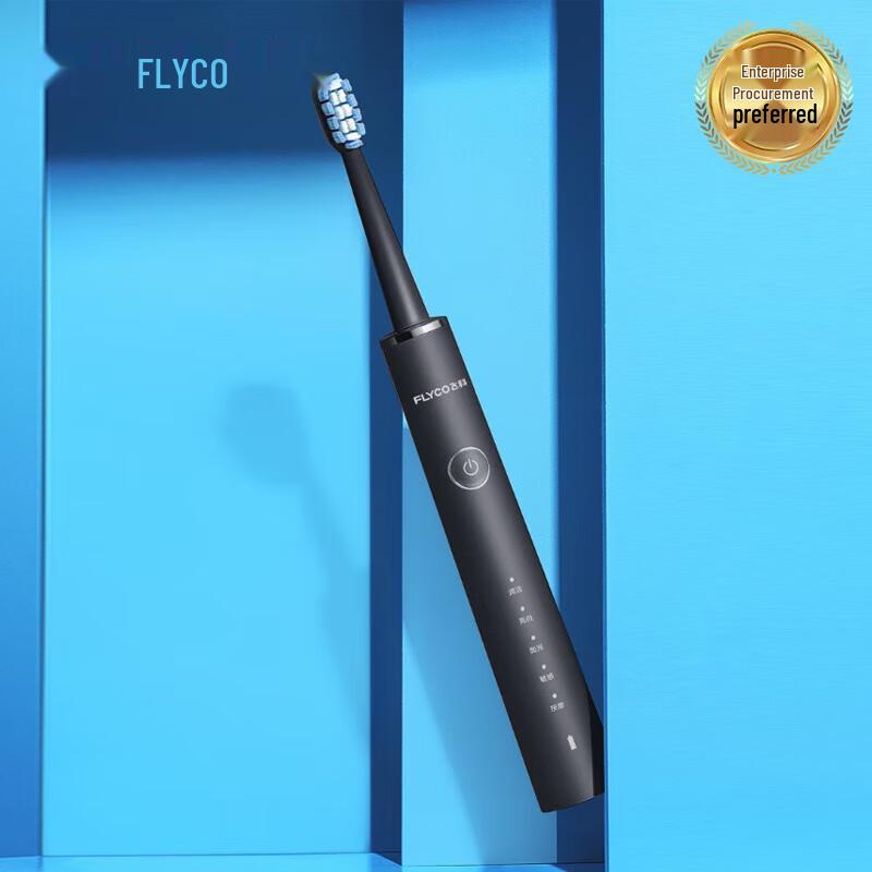 

FLYCO FT7108 Automatic Sonic Electric Toothbrush