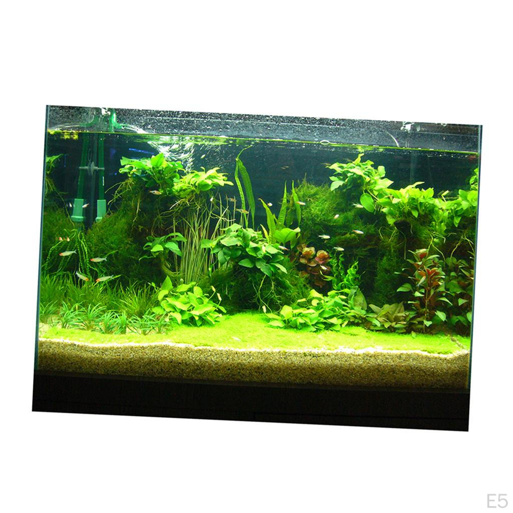 Sfondo Poster Paesaggio Acquario