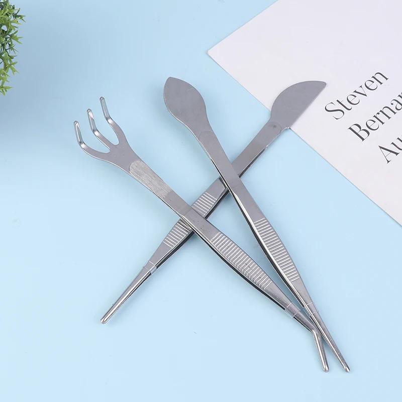 2-in-1  304 Stainless Steel Root Rake with Bonsai Tweezers with Ergonomical Handle Soil Farming Tool for Succulents Crafting