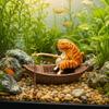 2PCS Cute Fish Tank Ornaments Creative Aquarium Ornament Micro Landscape Decoration  Holiday Gift