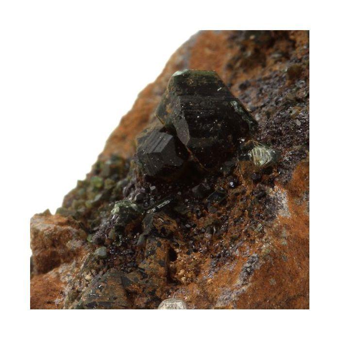 Pierres et Minéraux. Vesuvianite + Clinochlore. 52.03 ct. Rocher de Farinole, Olmeta-di-Capocorso, Haute-Corse, France.