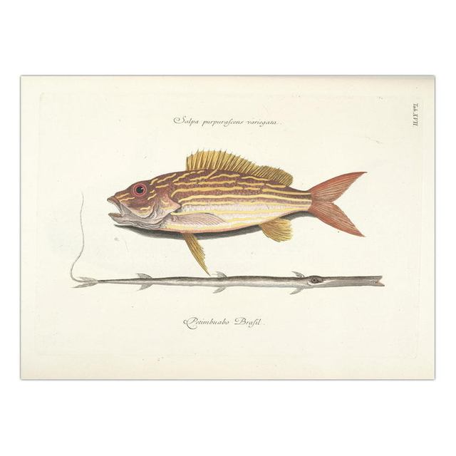 Decorative Painting Retro Fish Restaurant Hotel Paintings Animal Print Wall Pictures for Living Room Flatfish Wall Art Canvas