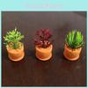 Landscape Tiny Resin Craft With Green Plants For Housewarming And Celebrations