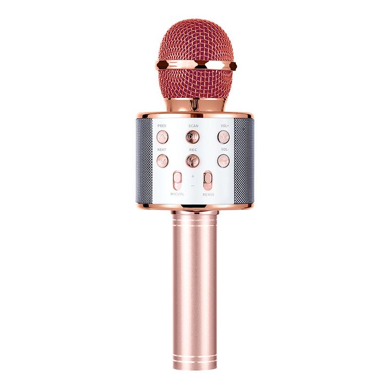 Wireless Bluetooth Karaoke Microphone for Kids, 5-in-1 Portable Handheld Karaoke Mic Speaker Player Recorder with Adjustable Remix FM Radio