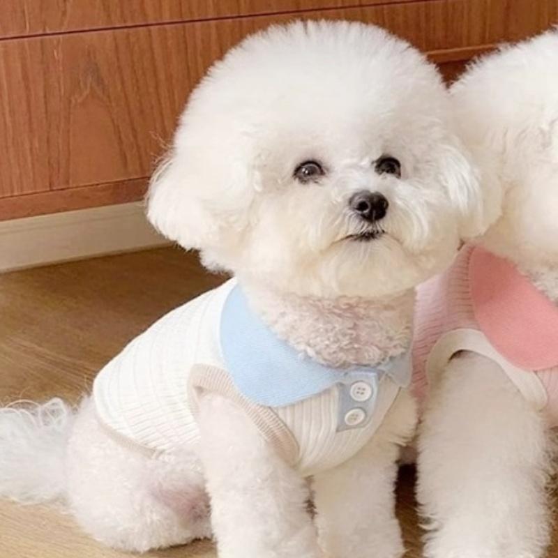 

Милая одежда для собак, летняя рубашка-поло для собак, дышащий жилет для щенков, модная рубашка для кошек, костюмы для собак чихуахуа, футболка для собак XXL белый