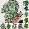 1pc Artificial Plant Green Dill Flower Rattan Leaves Party Home Decor Turtle Leaf Wedding Festival Decoration Fake Flowers
