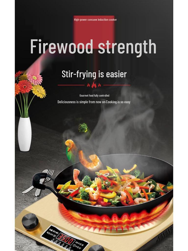 International 3500W Induction Cooker, 110V, EU/UK/US Standards, Commercial Flat and Concave Design