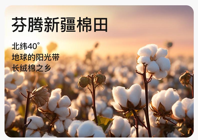 Fenteng [100% Cotton Antibacterial] Home Clothes Men's Pajamas Men's Set T-shirt Shorts 26 Summer New Edition